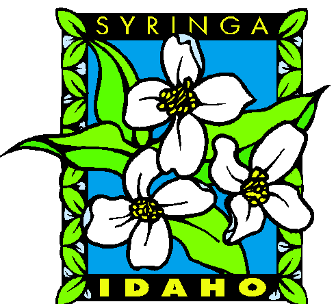 Drawing of the Idaho state flower - Syringa.